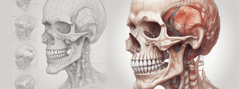 Oral and Craniofacial Developmental Biology Revision