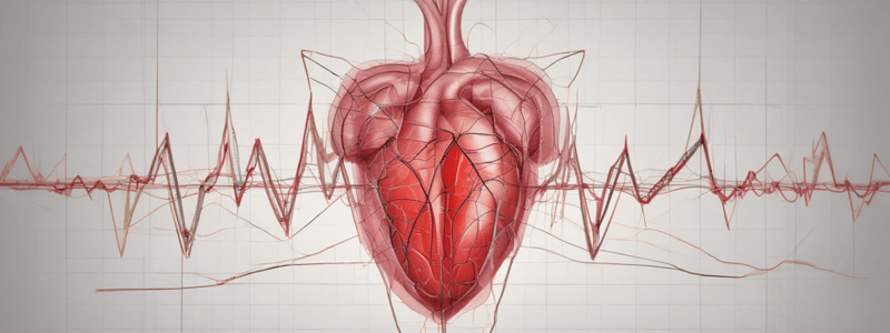 Lecture 6.1 - Basics of ECG