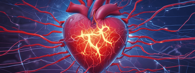 Ch 13 - Part 1  Heart Electrical Conduction System