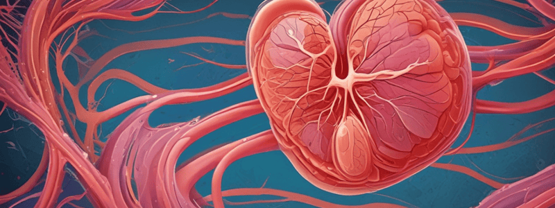 Oxidative Metabolism in Cardiac Muscle