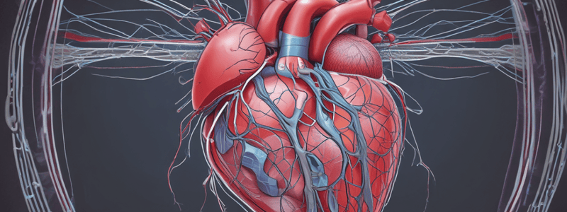 Heart Structure and Function