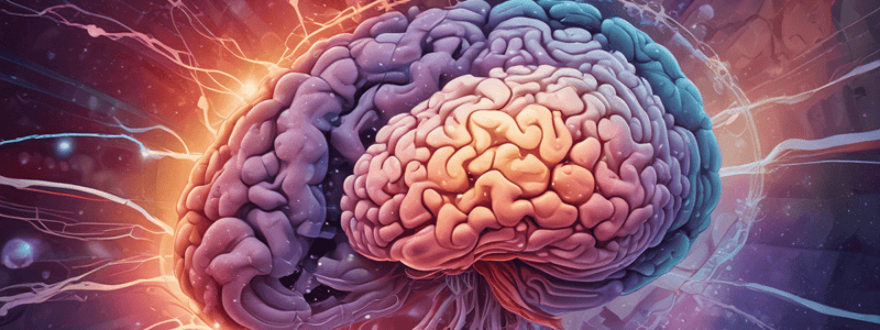 Pilocytic Astrocytoma Characteristics