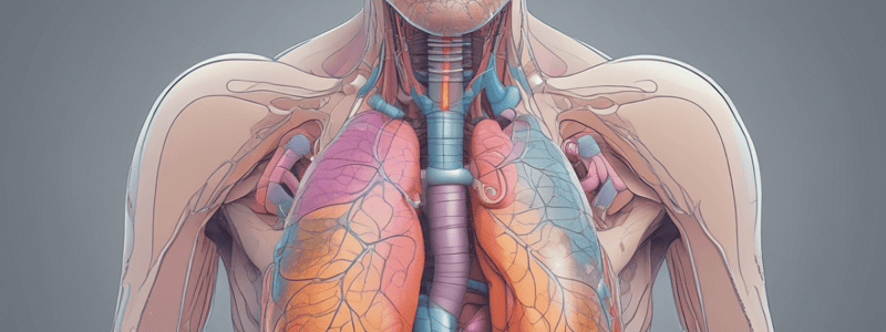 Pulmonary System Functions