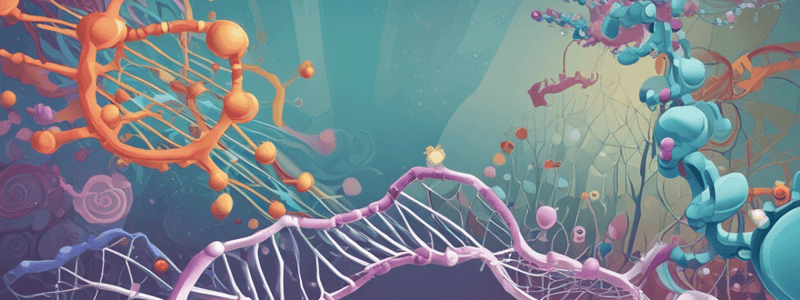 Protein Synthesis Process