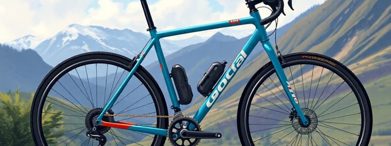 ORCA M30ILTD PWR Bicycle Quiz