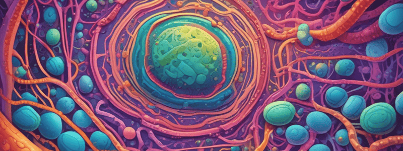 Prokaryotic Plasma Membrane Structure and Function