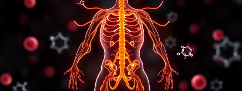 Endocrine System Hormones Quiz