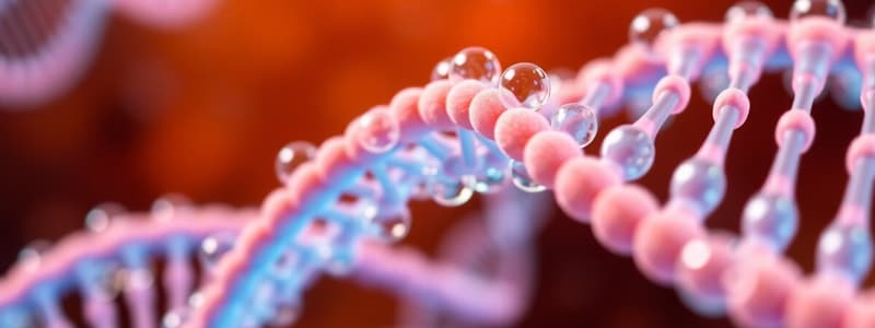 Chinoloni: Inibitori della Replicazione del DNA