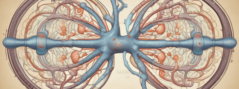 Blood Urea Estimation and Urea Cycle