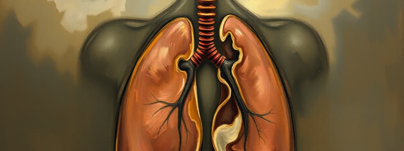 Fisiología Pulmonar: Elasticidad y Volúmenes