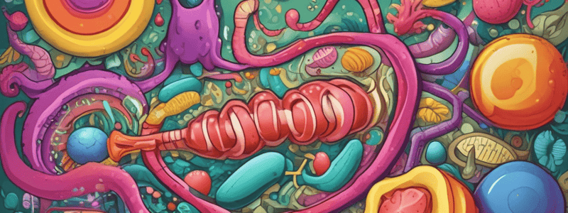 Lipid Digestion and Absorption