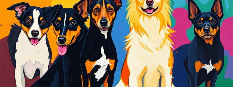 Hunde Ausstellung