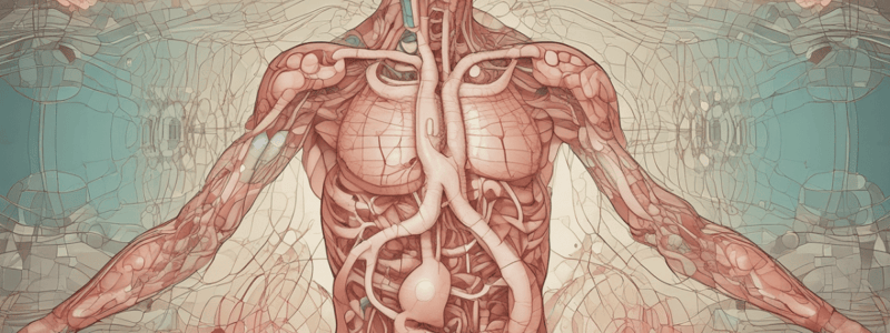 Endocrine System Quiz