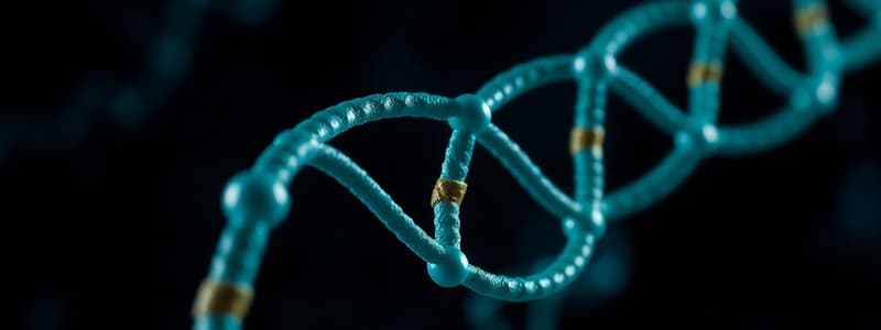 Nucleotide Structure and Synthesis