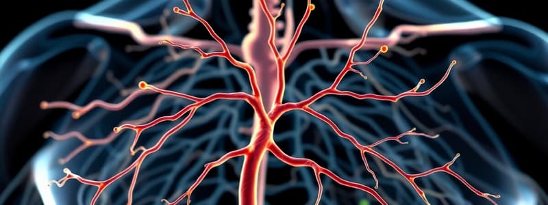 Nervous System & Autonomic Pharmacology Quiz