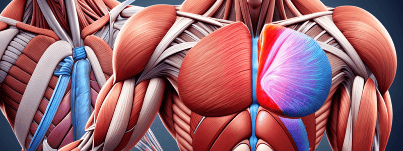 Types of Muscles in the Body Quiz