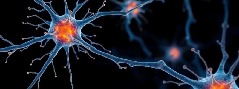 Psicología: Sistema Nervioso y Neuronas