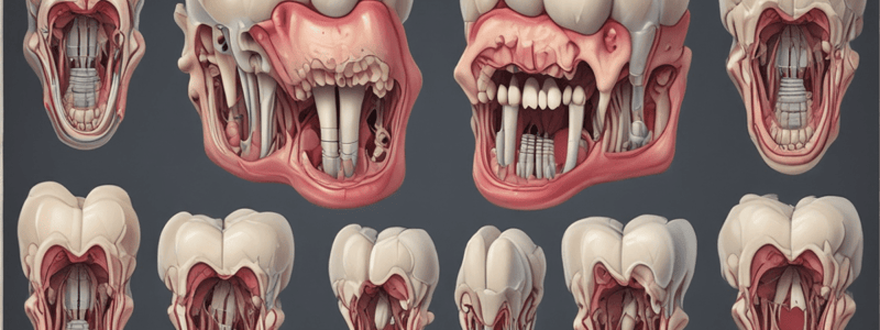 Tooth Development and Odontoblasts