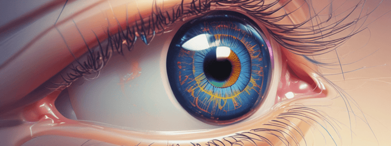 Contact Lens Manufacturing and Regulations