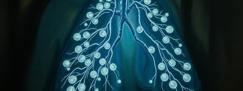 Gas Exchange and Oxygen Transport