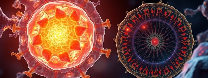 Cell Differentiation and Morphology