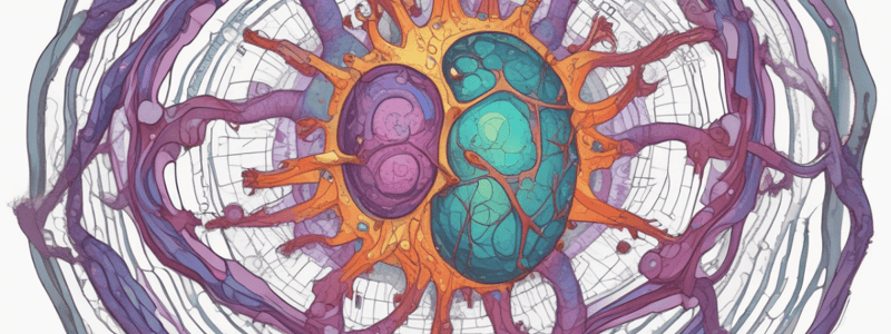 Microscope Magnification and Measurement