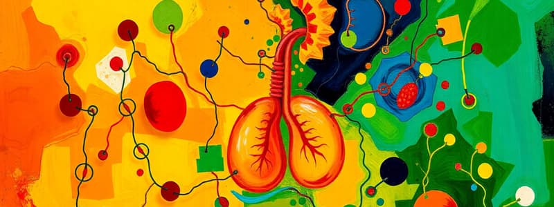 Cellular Respiration Overview