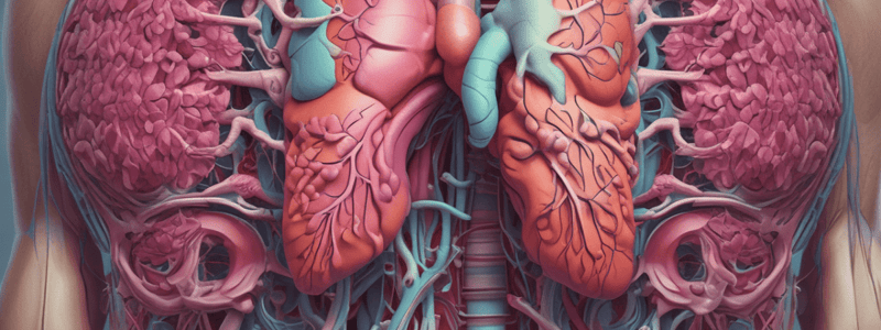 PRAC QUIZ RESPIRATORY SYSTEM