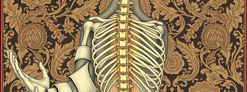 Spine Examination Overview