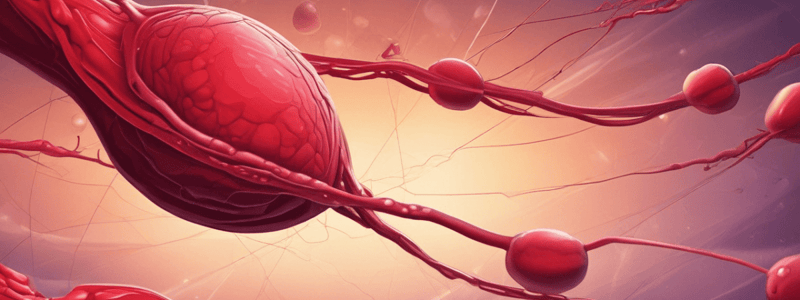 Trombocitosis: causas y diagnóstico