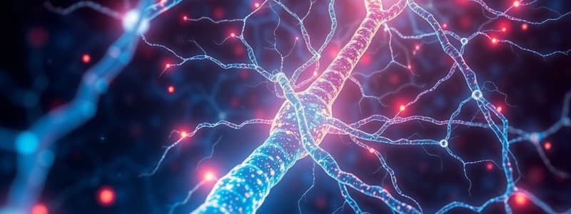 Nervous System Functions and Signals