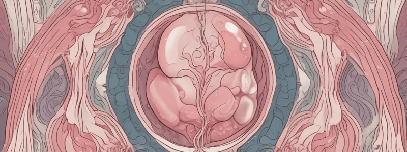 Female Reproductive System and Gynecologic Emergencies