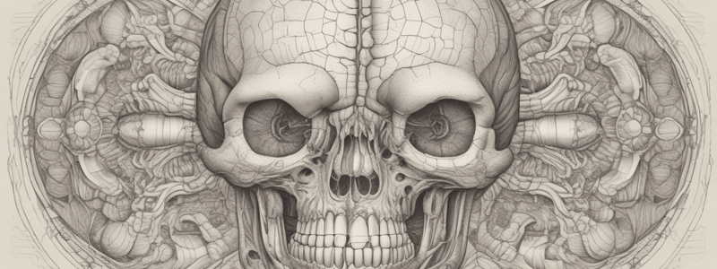 Esôfago: Desenvolvimento e Anatomia