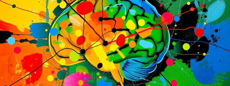 Learning & Neuroplasticity Overview