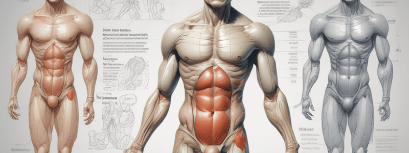 Differentiating Fat-Free Mass and Total Body Fat