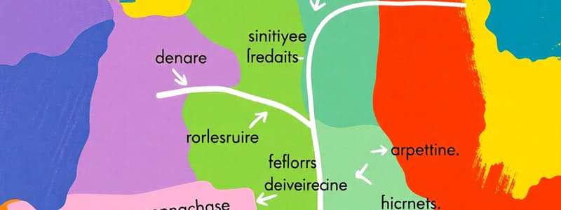 French Vocabulary for Directions