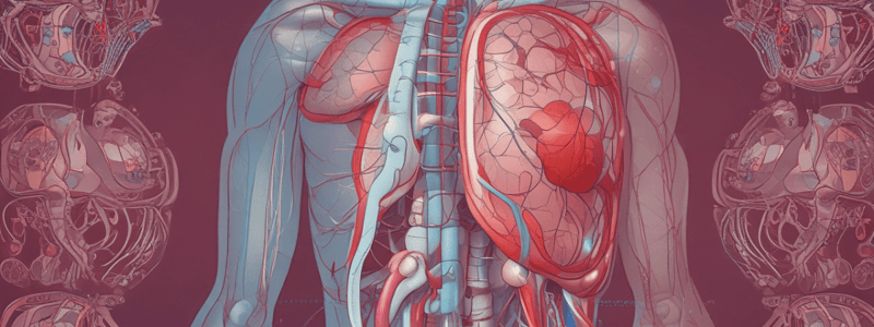 Respiratory and Cardiovascular Anatomy and Physiology