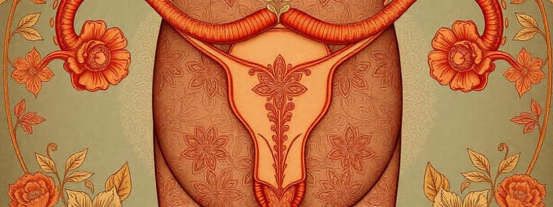 Human Reproductive System Physiology