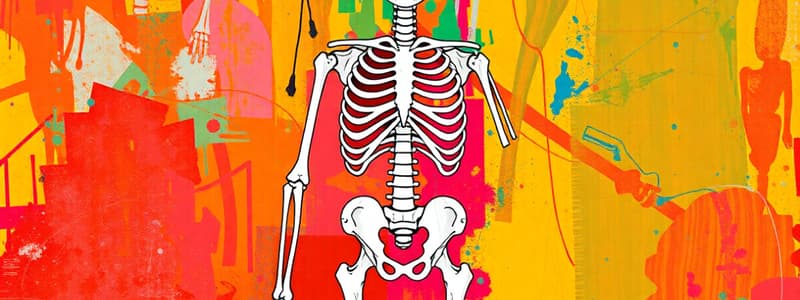 The Human Skeleton and Bone Types