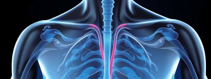 Endocrine System Overview