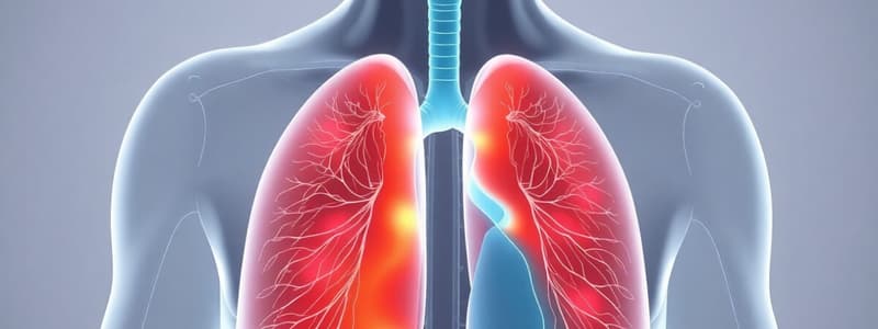 Respiratory System Overview