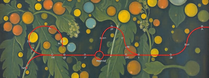 Biochemistry Lecture 20: Tricarboxylic Acid Cycle