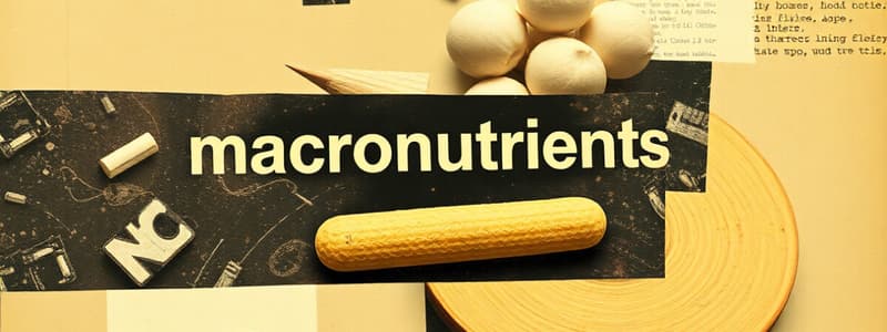 Nutrients and Macronutrients Quiz