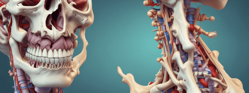 Bone Fractures Overview