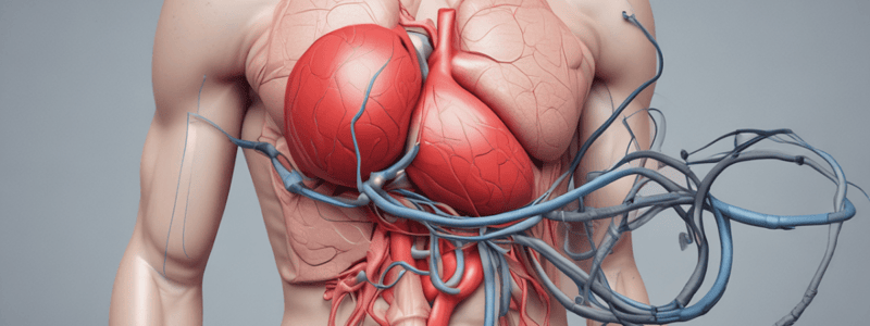 Physiology of Blood Pressure Regulation