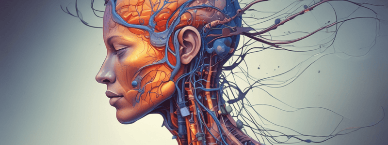 Acetylcholine Pharmacology and Structure