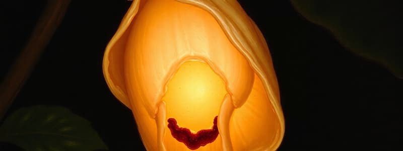 Corpus Luteum & Fertilization