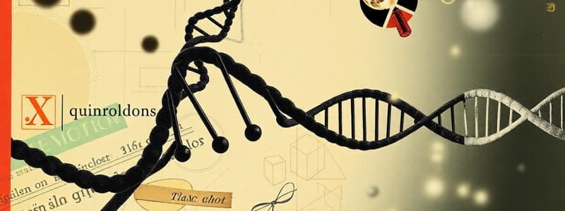 Chinoloni e replicazione del DNA