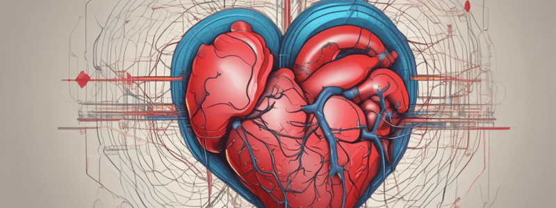 Cardiology Overview on Nifedipine