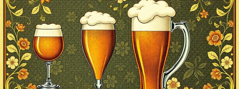 Birra: Definizione e Classificazione